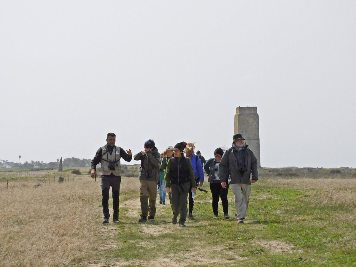 Aviturismoes's tweet photo. Hoy tocaba la formación de los voluntarios de #SalvemosalChorlitejopatinegro en @ConilTurismo @aconil donde se congregaron Ornitológos de Vejer, Conil y Chiclana, dimos a conocer la avifauna del municipio
@Aviturismoes
@viveandalucia @CadizTurismo #aviturismoes #birdwatching https://t.co/d3kVfLqUQn