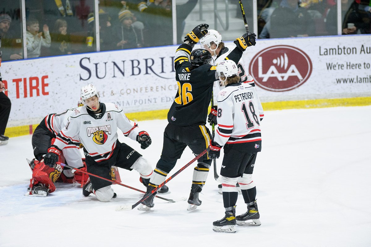 Metcalfe Photography tweet media