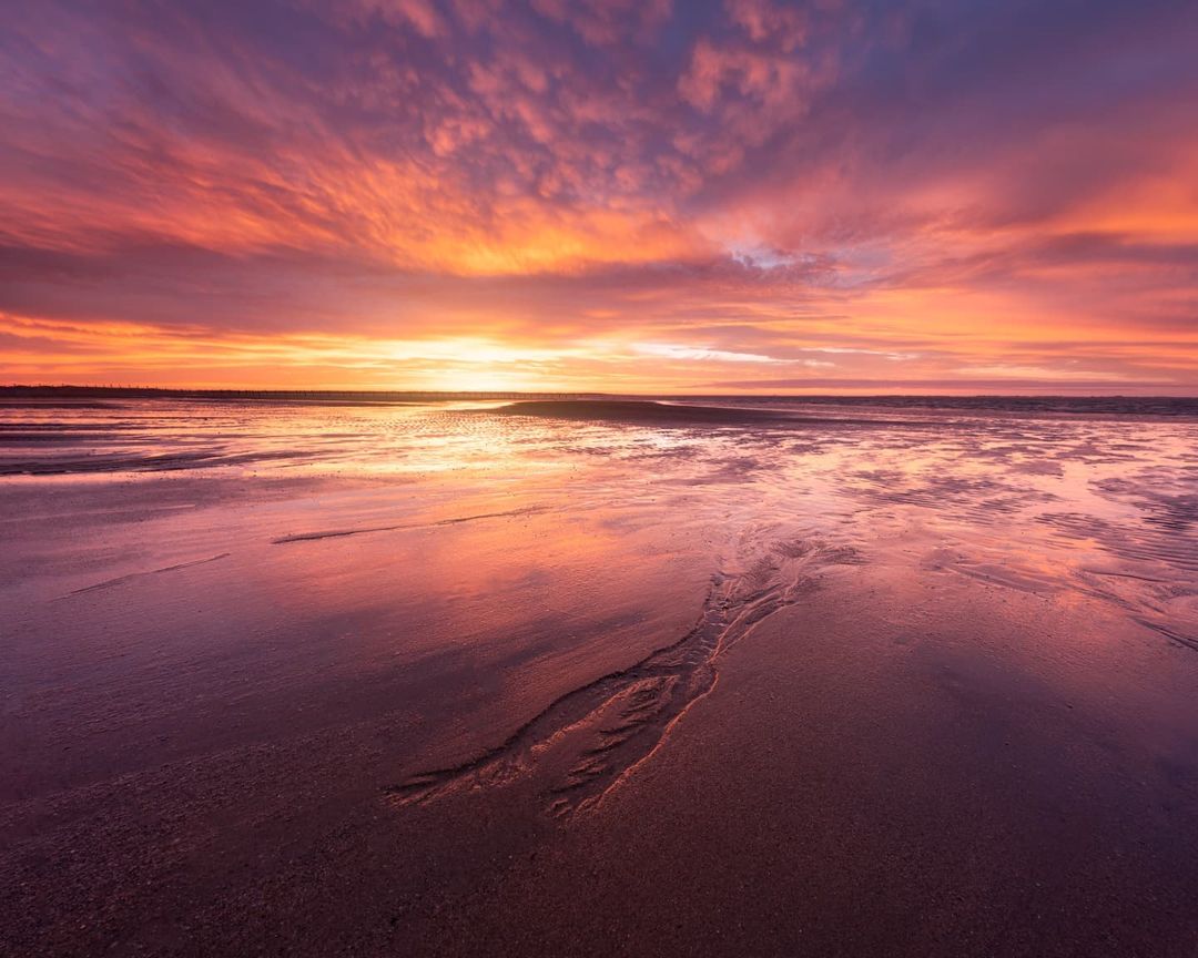 De kleuren van Nederland! ❤️

📸 Ellen van den Doel #Goedemorgen