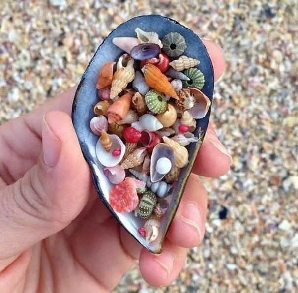 Joma_Res's tweet photo. "To see a World in a Grain of Sand 
And a Heaven in a Wild Flower, 
Hold Infinity in the palm of your hand 
And Eternity in an hour."

 —William Blake

#writingchallange #writingadvice #flashfiction #English  #language #linguistic #writing #art #submission #writingcommunity https://t.co/UECgArwwXk