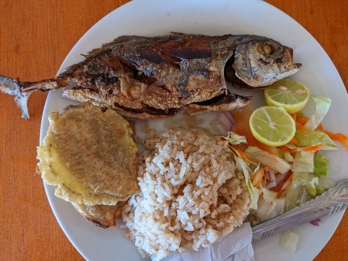 Alona/ 🇺🇦 tweet media