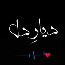 Shuje(bk) tweet media