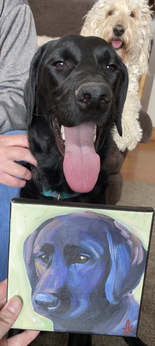 LittleFelicia's tweet photo. @Chewy sent me a beautiful painting of my sweet, Gracie girl!!! I don’t know what prompted them to do this but I love it so much!!! Thank you!! I can’t wait to put it up!! Only a LITTLE bit of jealousy from sissy in the back! 🤪 https://t.co/7R8hUToE6X