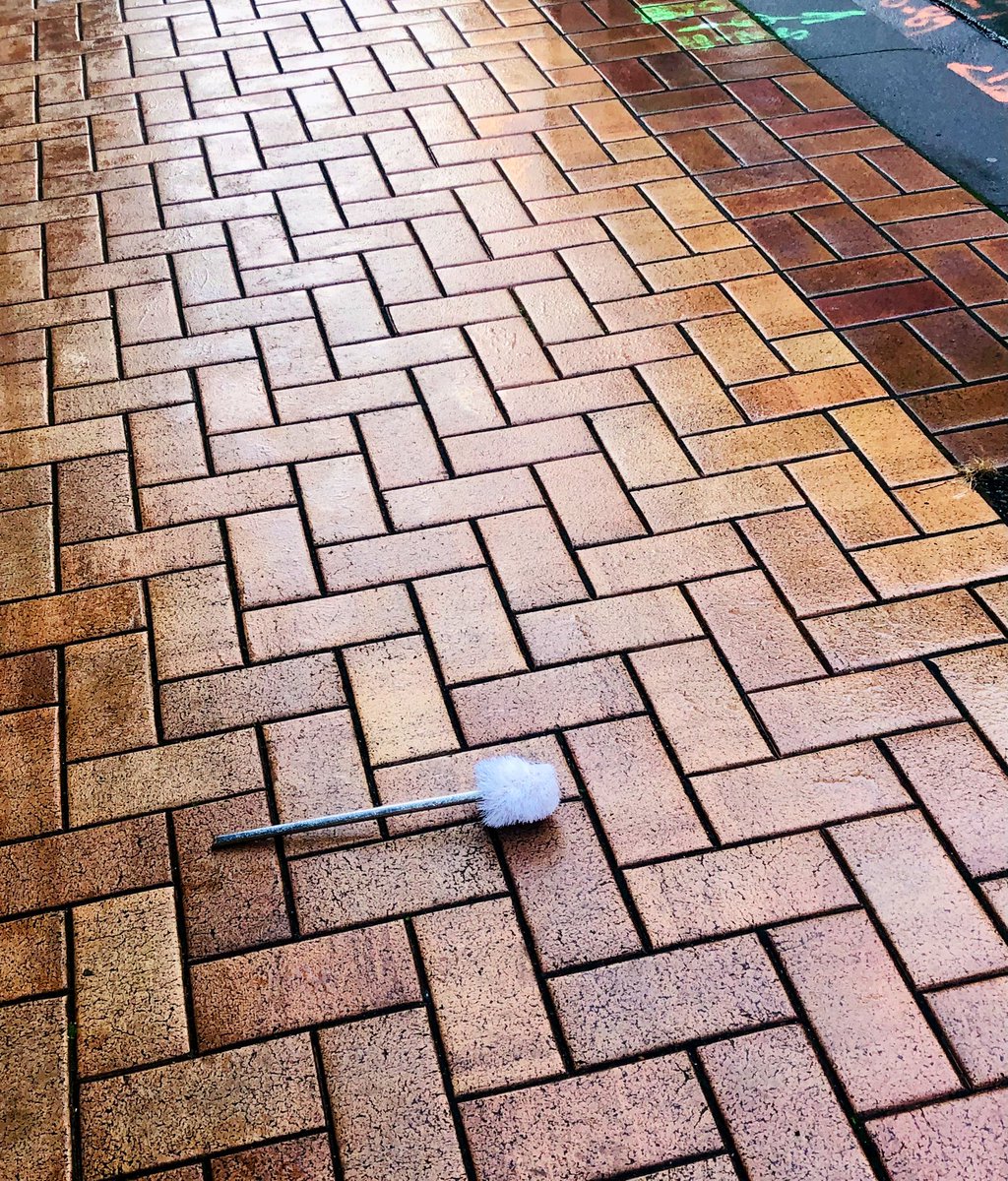 Has anyone lost a toilet brush? Location: Willis Street, Wellington