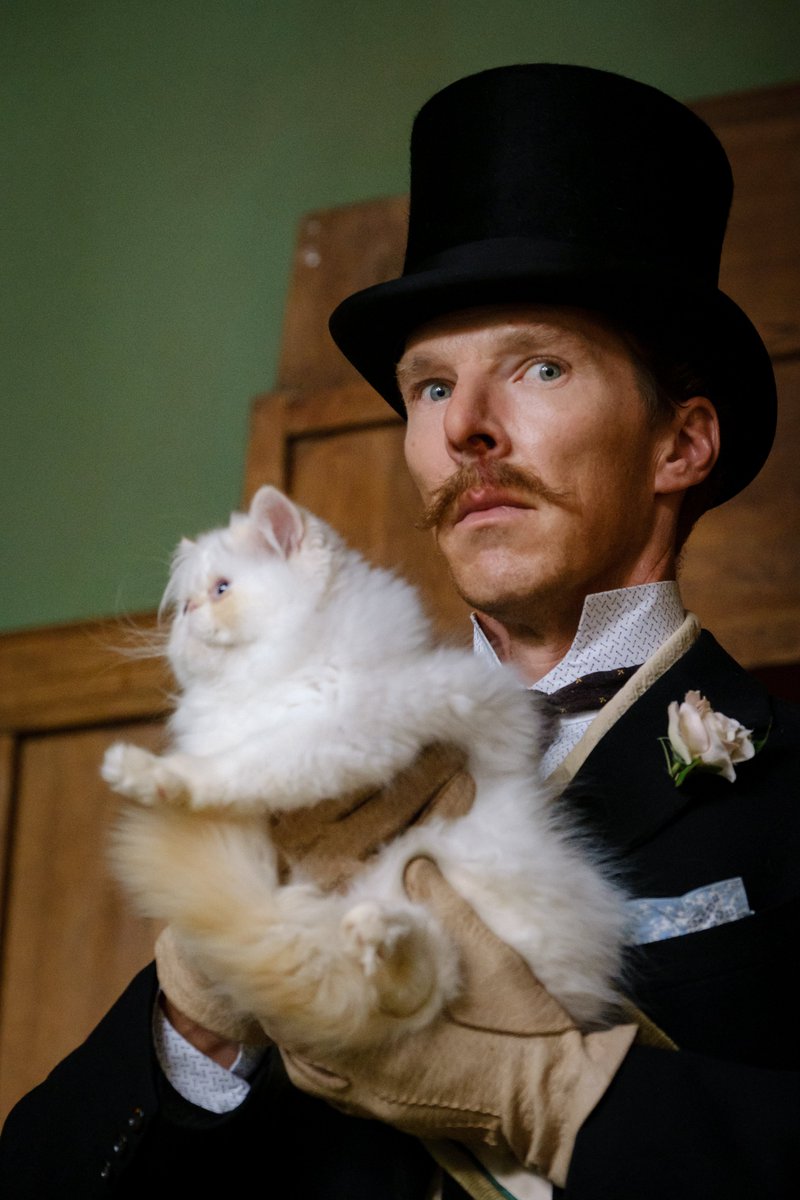 Ayatay221's tweet photo. It doesn't matter if #BenedictCumberbatch doesn't win the #Oscar ,he won the 2021. https://t.co/ZD7a7tWzKG