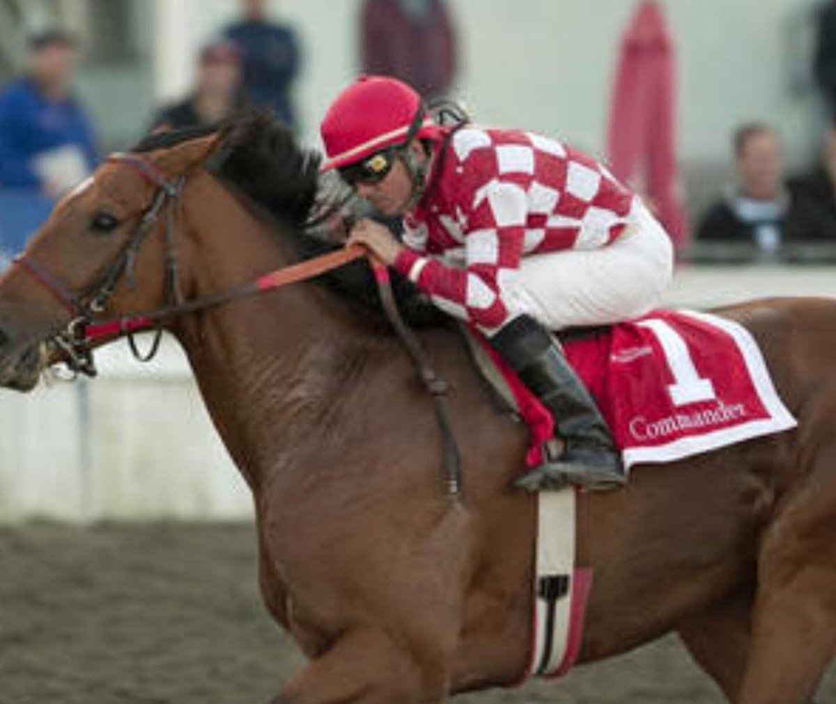 Glen Todd is one of the nicest people I ever met. Not just in our industry, but in my life. He was not only a great friend, he treated me like family. He put family 1st. He was a successful businessman with a passion for horses. If there’s racing in heaven, Glen is leading owner!