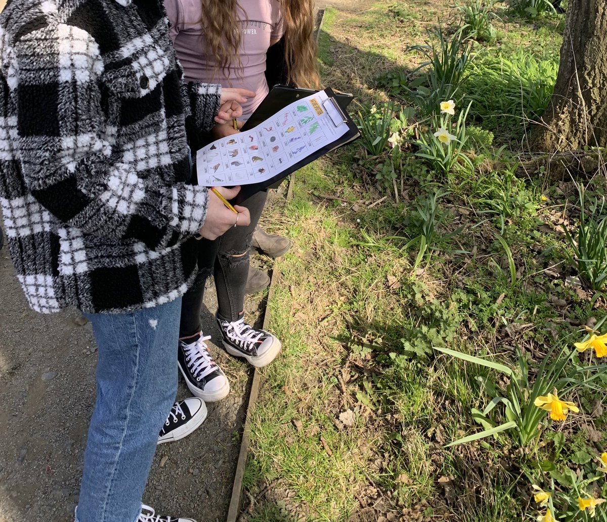 Nature walk with P6 on Friday during our Earth Hour. The children loved spotting different plants, flowers and wildlife… and simply just enjoying the outdoors! #HWB 🍃