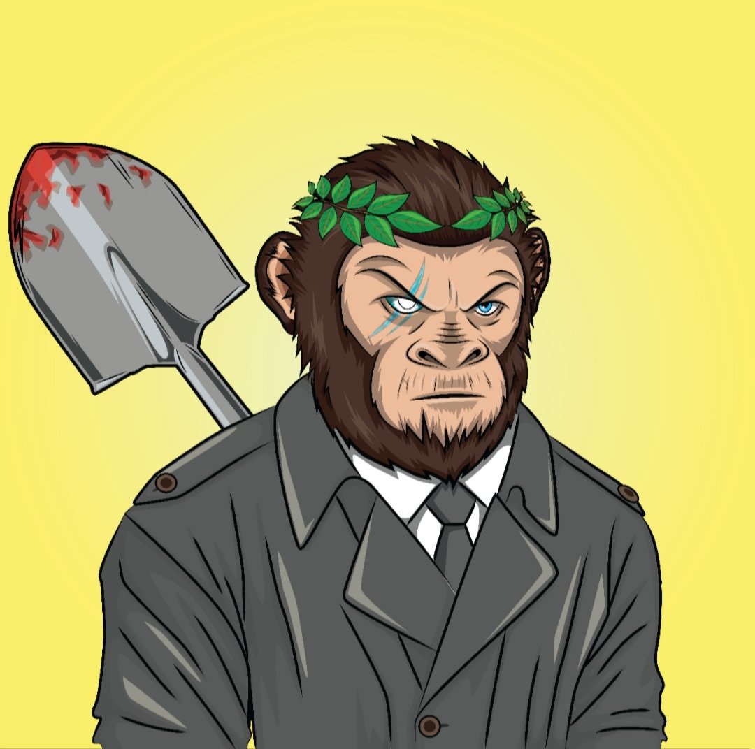 xDorsoft 🌞🤝🌍 MvX 🟣 tweet media