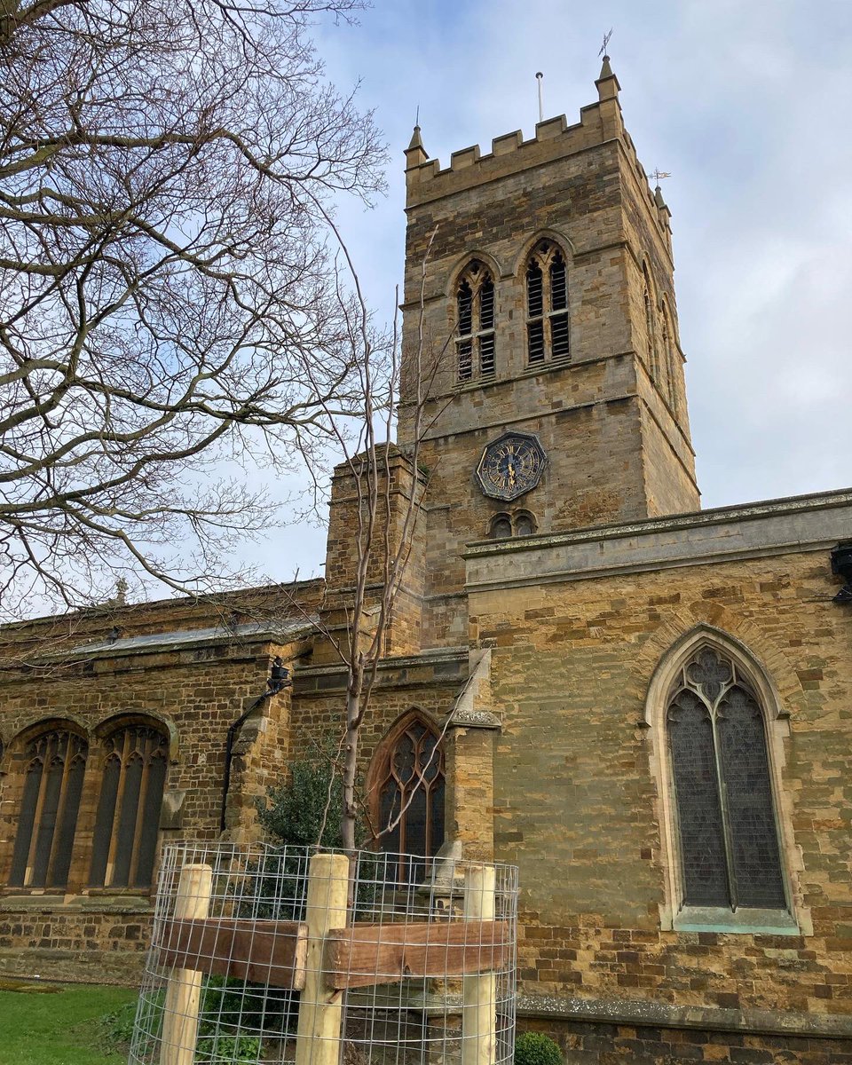 Rocky_Coles's tweet photo. After and before. Sorting the Judas tree (tree number six) after contractors had planted this week @StGilesTerrace. Pruning broken and crossing branches. Liquid seaweed dropped off for Mondays well-being cafe at @StGNorthampton  so they can apply the tonic to help establish them. https://t.co/Wjg4fcK0Lg