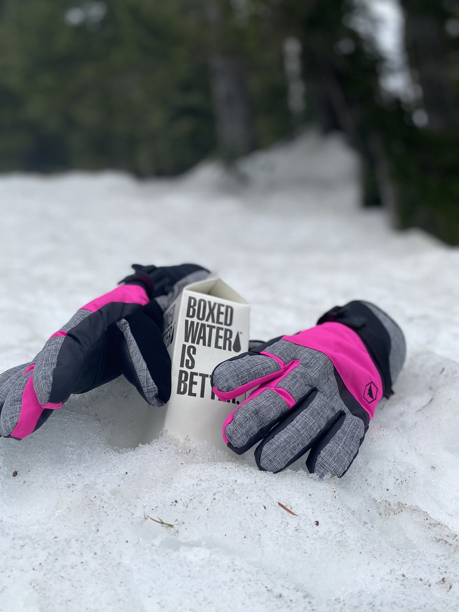 Steffanie Peevers tweet media