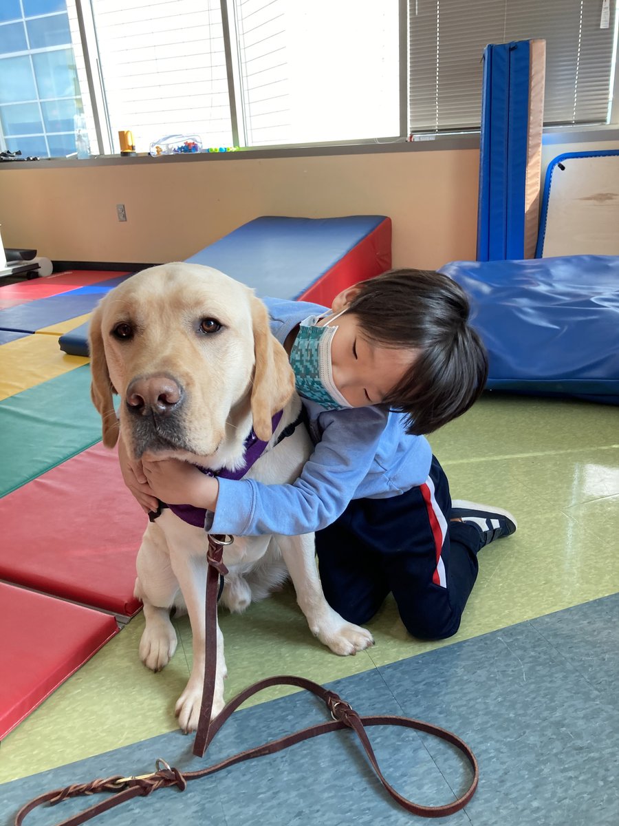 InovaCareers's tweet photo. Moo just joined our team, and you can too! Moo is Inova Loudoun Hospital's 2nd facility dog and works with outpatient rehab patients after he completed the @HeroDogsInc Advanced Training Program. Join our team: https://t.co/2Y8VNlUDVO
#WhyJoinInova https://t.co/6iK8IliE5m