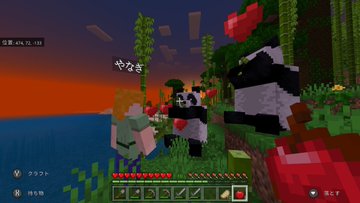 マイクラウーパールーパー餌のあげ方 食べ物食べない理由は