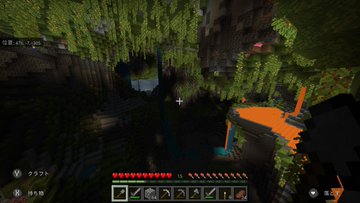 マイクラウーパールーパー餌のあげ方 食べ物食べない理由は