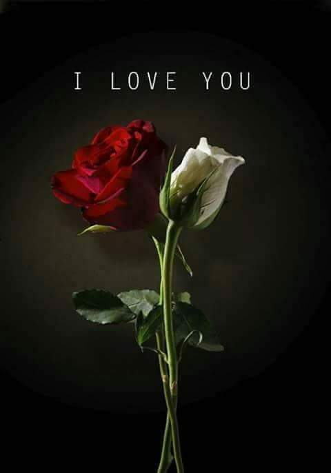 Saroj77Insan's tweet photo. @Gurmeetramrahim https://t.co/G0EWMqmp1I