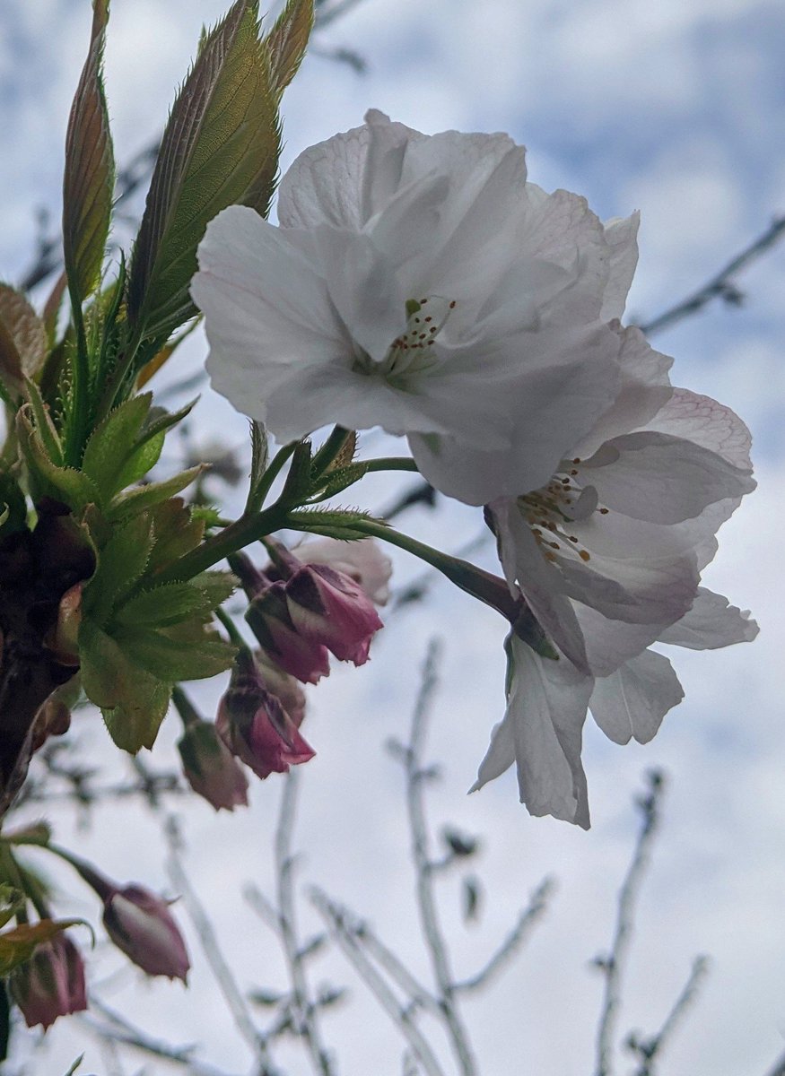 Just before the rain, early evening.