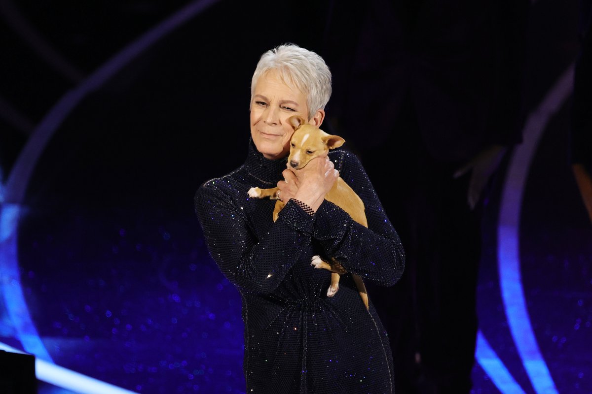 enews's tweet photo. Someone hand the puppy to Will. #Oscars https://t.co/rc3wLahkOx