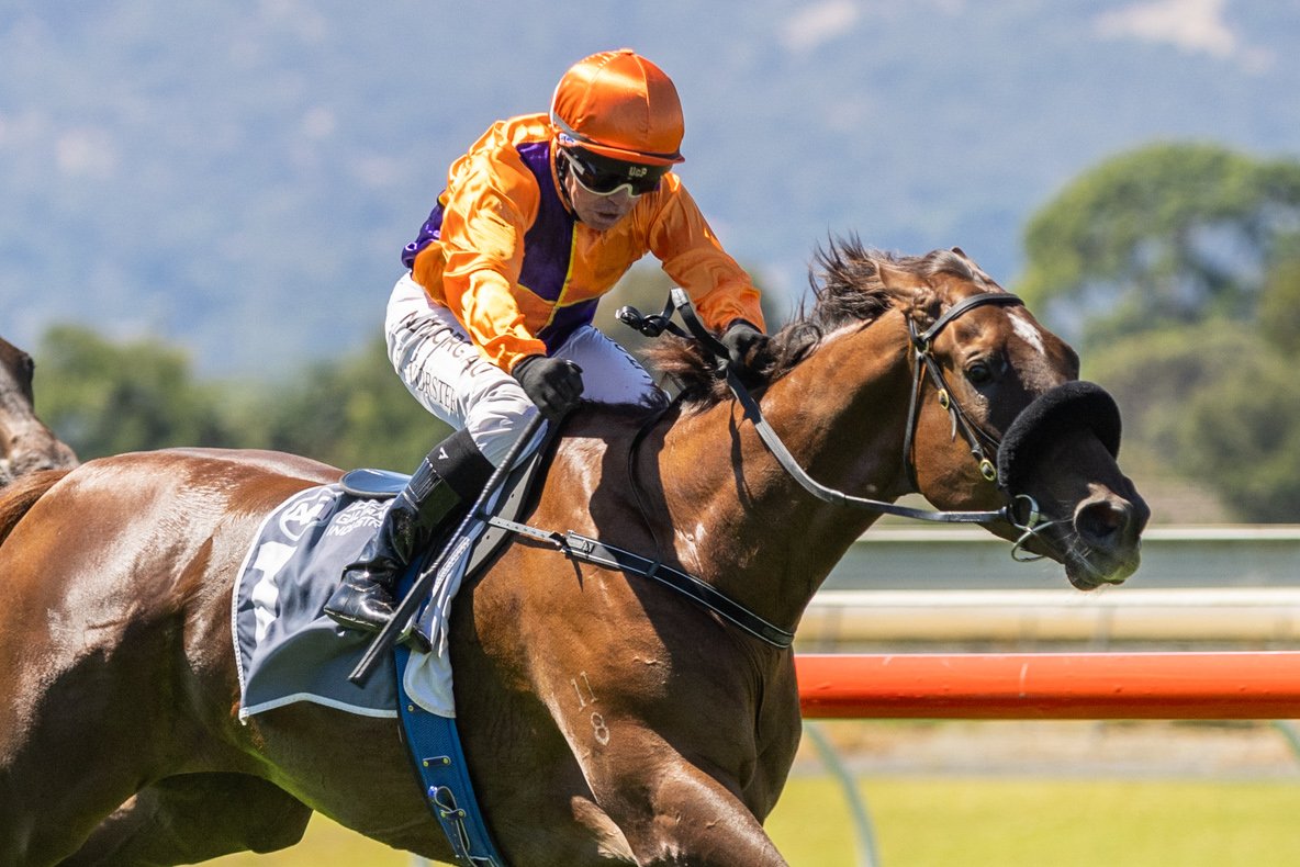Racing SA on Twitter "We saw a pair of AdelaideCarnival contenders emerge on Saturday, while