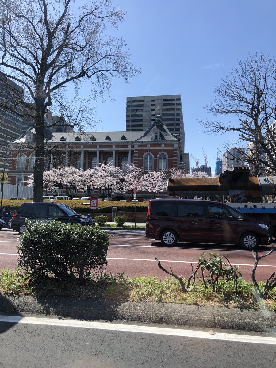 ChefMart5's tweet photo. こんにちは🌞ポカポカで暑いくらいですね！桜は満開🌸🌸
是非、ランチテイクアウトでお花見ランチして下さい👨‍🍳

#銀座　#白金　#人形町　#赤坂　#飯田橋　#ランチ　#スパイスカレー　#山口県　#山口県産　#キッチンカー　＃3つ星　#山口県三ツ星セレクション https://t.co/q4n3mUP1W3