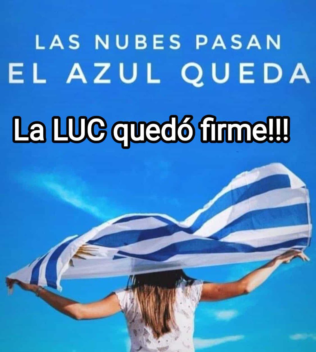 AnaLauraRoman tweet picture