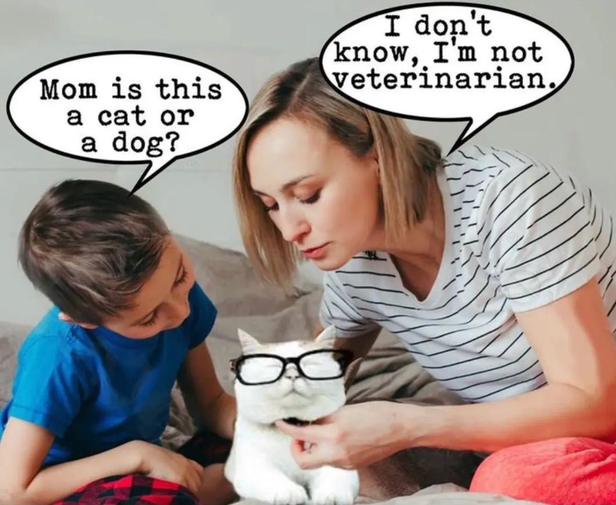 FO5AmwTWYAk9PTO?format=jpg&name=large