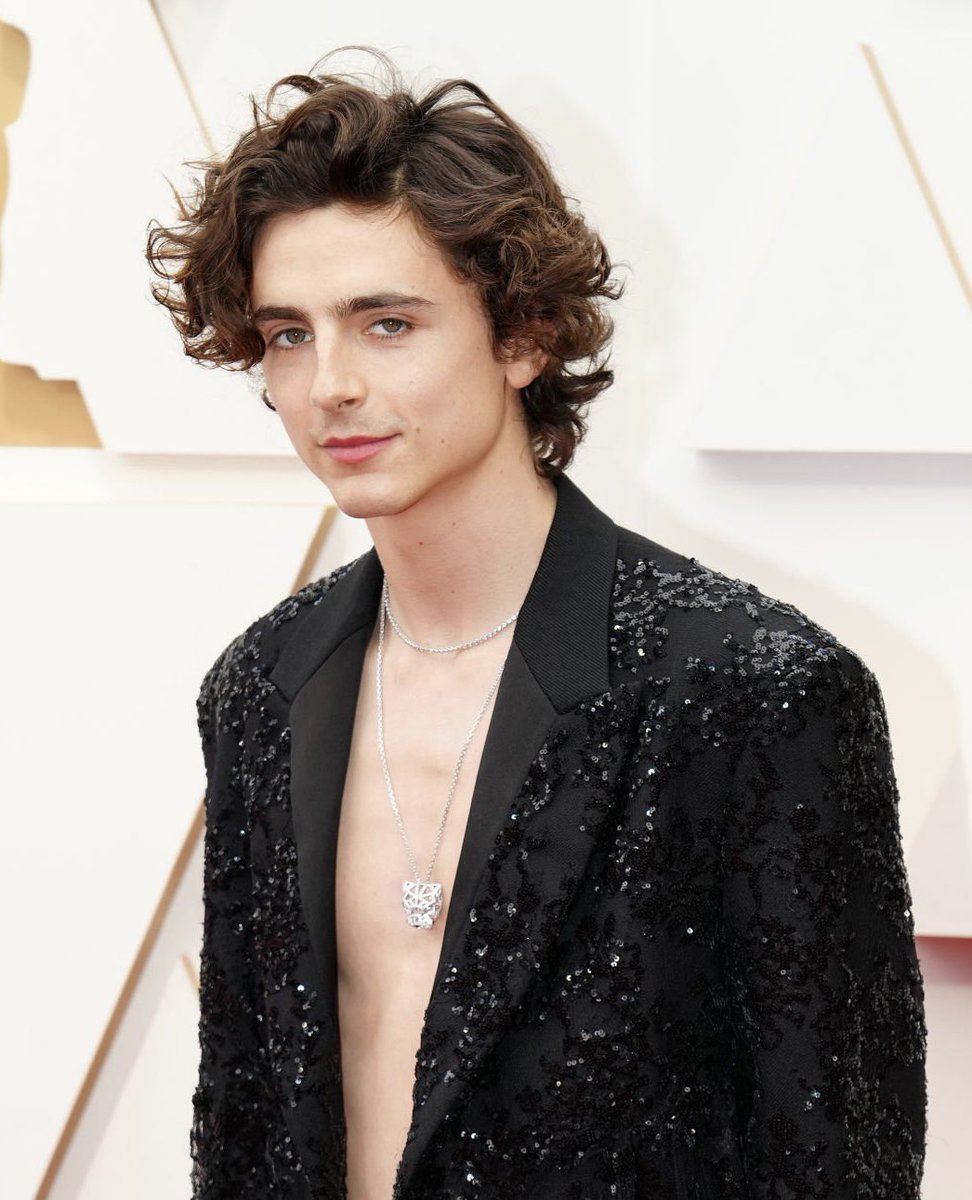 chlmt_arg's tweet photo. Más fotos de Timothée en la alfombra roja https://t.co/RogTlodfAK