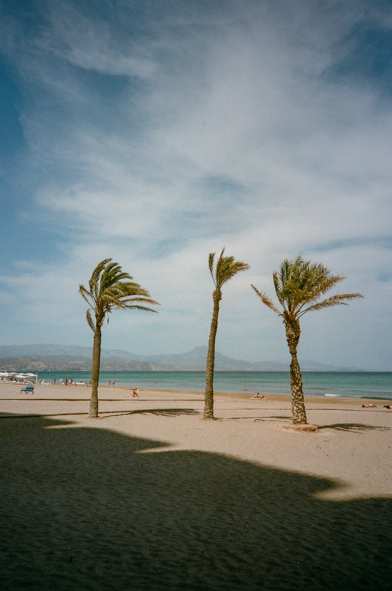 sam_doughy's tweet photo. Alicante, Spain, 2019. Captured on #olympusxa with #kodakgold200 #film. More on https://t.co/ErjTKqEYIJ. #streetphotography #nft #nftphotography #masoldcamera https://t.co/jMTFPGs1wB