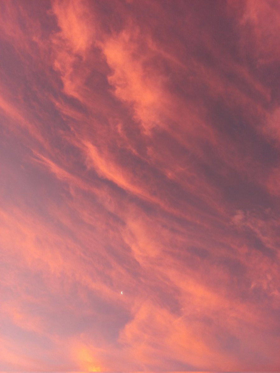 opacarofilia_'s tweet photo. el atardecer >>>>>>>>>>>> https://t.co/O22KBnI1Qg