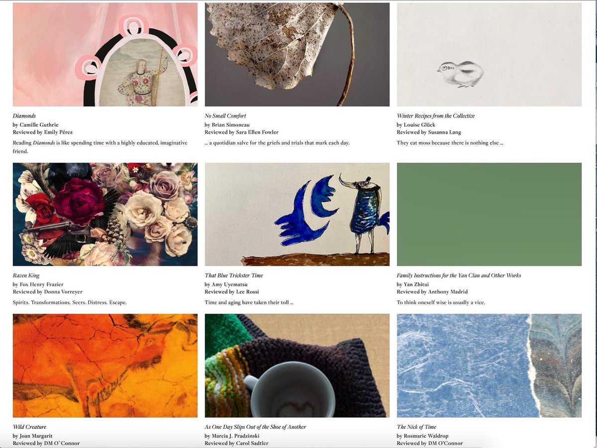rhinopoetry's tweet photo. RHINO Reviews' March issue is live! Featuring @GuthrieCamille @brian_simoneau Louise Gluck, @foxhenry4, Amy Uyematsu, Yan Zhitui, Joan Margarit, Marcia Pradzinski, and Rosemarie Waldrop. Read 'em here https://t.co/ZHLdxvtVLG https://t.co/12MfRyMtRd