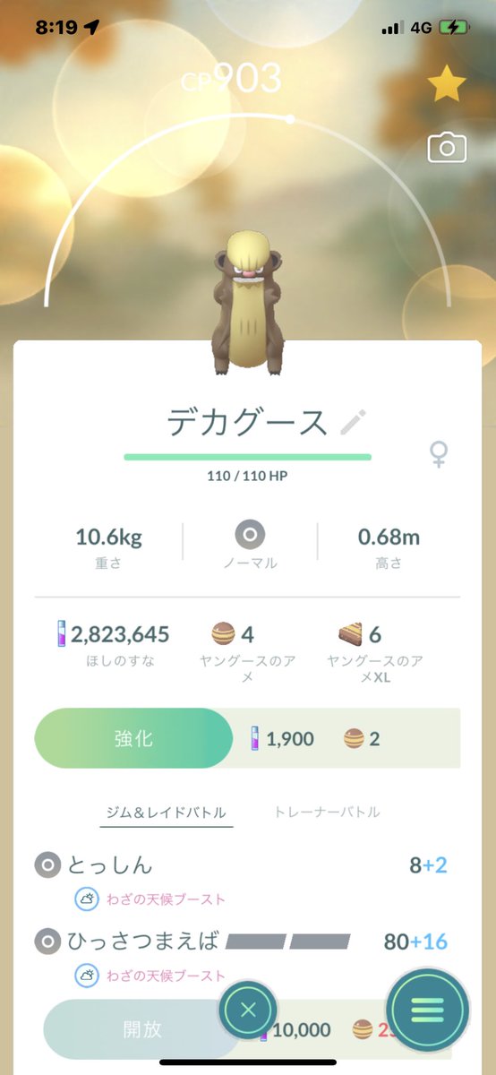 P6og4bu3zy9 M P6og4bu3zy9 M