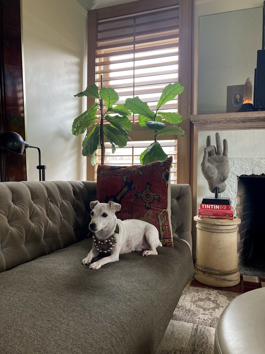 NoPoBoHo's tweet photo. Otis in vintage P.C. Penney #Oscars #Oscars2022 #LOOKS #redcarpet #demondogs https://t.co/KYJAvZQ0ue