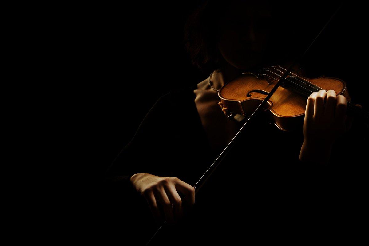 Скрипка в руках. Скрипка. Скрипка картинка. Силуэты музыкантов скрипачи. Скрипач дэвид гарретт.