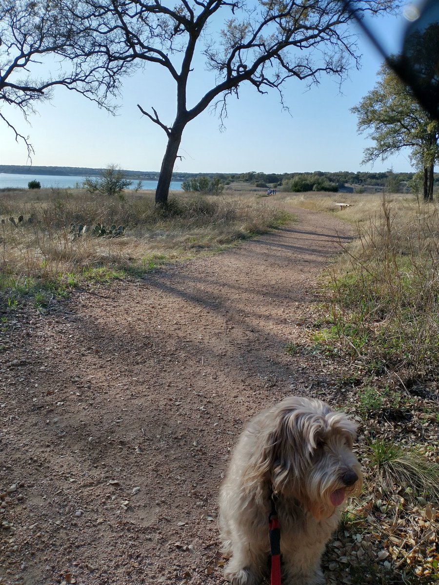mattcnelson's tweet photo. I can't say I love Texas weather but hot dam March is lovley. 85 and a breeze. #dogsoftwitter #lakegeorgetown https://t.co/ohTWr4ln9n