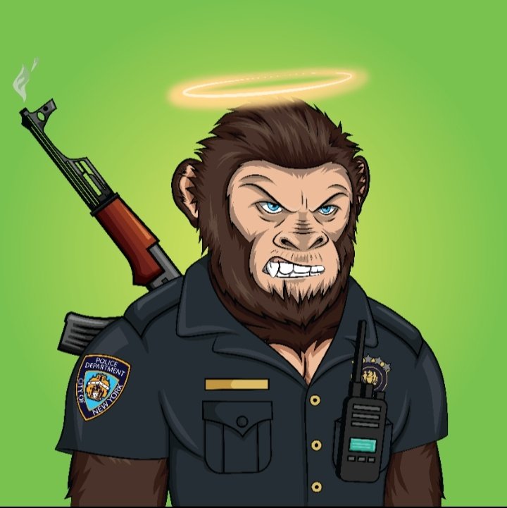 moonboy🛡️ tweet media