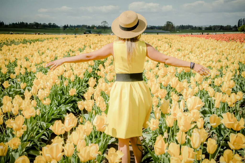 "It’s tulip time! Where to see the fields in bloom in Oregon: bit.ly/ORTulipFestival 

#TravelOregon | #PDX | #Travel