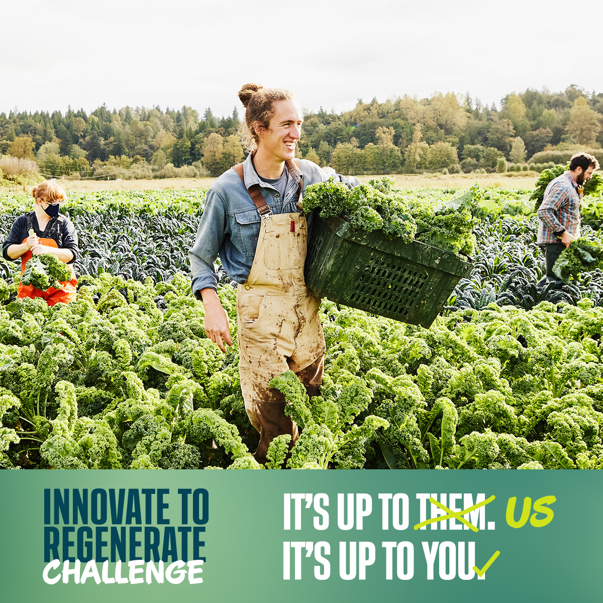 Do you have an idea that could change Australia’s future? WWF-Australia is deploying $2 million of funding to support solutions that can reverse environmental damage and create a positive impact for people and the planet. #InnovateToRegenerate wwfau.org/3qANWZ5