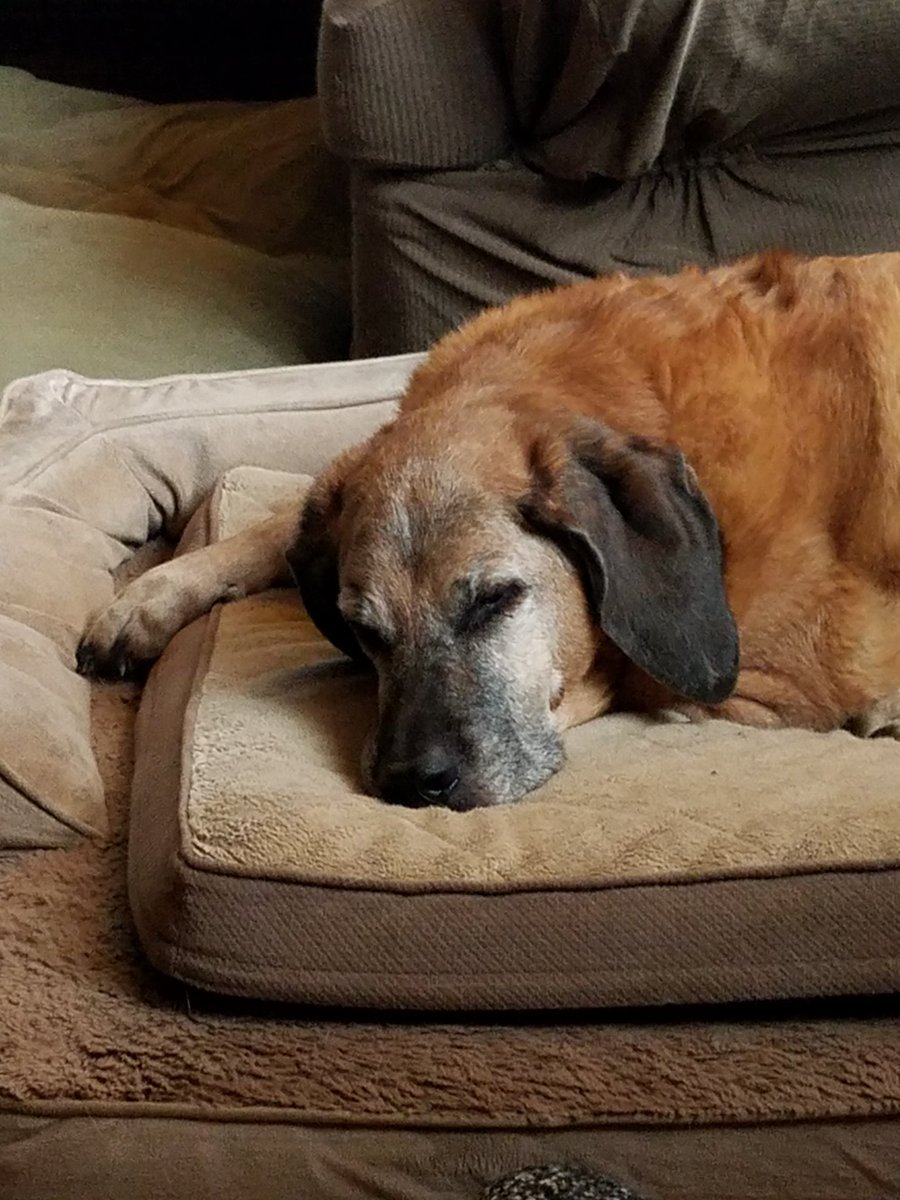 Angel Redford James 😇🌈💔 tweet media