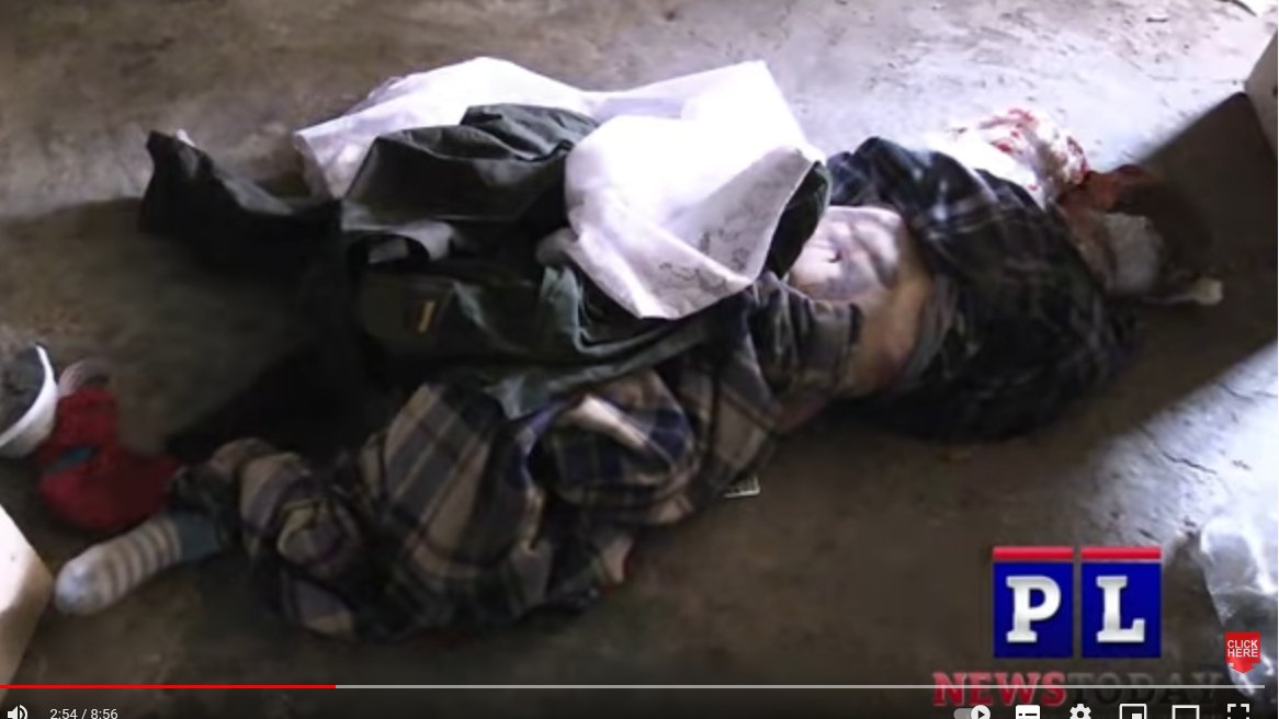 El periodista de Reino Unido Patrick Lancaster, accedió al sótano de una escuela que el AZOV había convertido en un cuartel y entre otras cosas grabo a una civil asesinada y con una esvástica grabada en el abdomen,  youtu.be/6LQSYmda0Sc