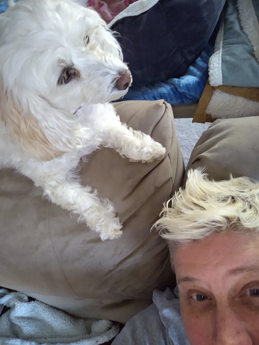 Jeannine Hinds tweet media