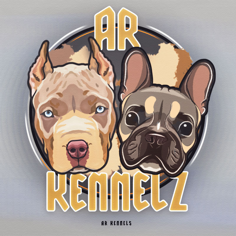 graphicsmaster_'s tweet photo. Second logo design for @a.r_kennelz 🐶
https://t.co/TLauUFRvyZ
#logo #logodesign #doglogo #frenchbulldog #xlbully #graphicsmaster https://t.co/B21oVObgD9