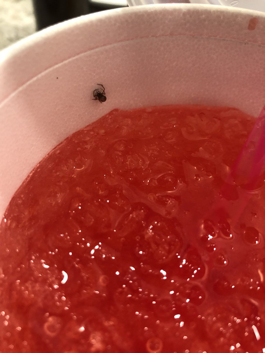 moonagerie's tweet photo. wow cool thanks @sonicdrivein https://t.co/Xc1kktJkyz