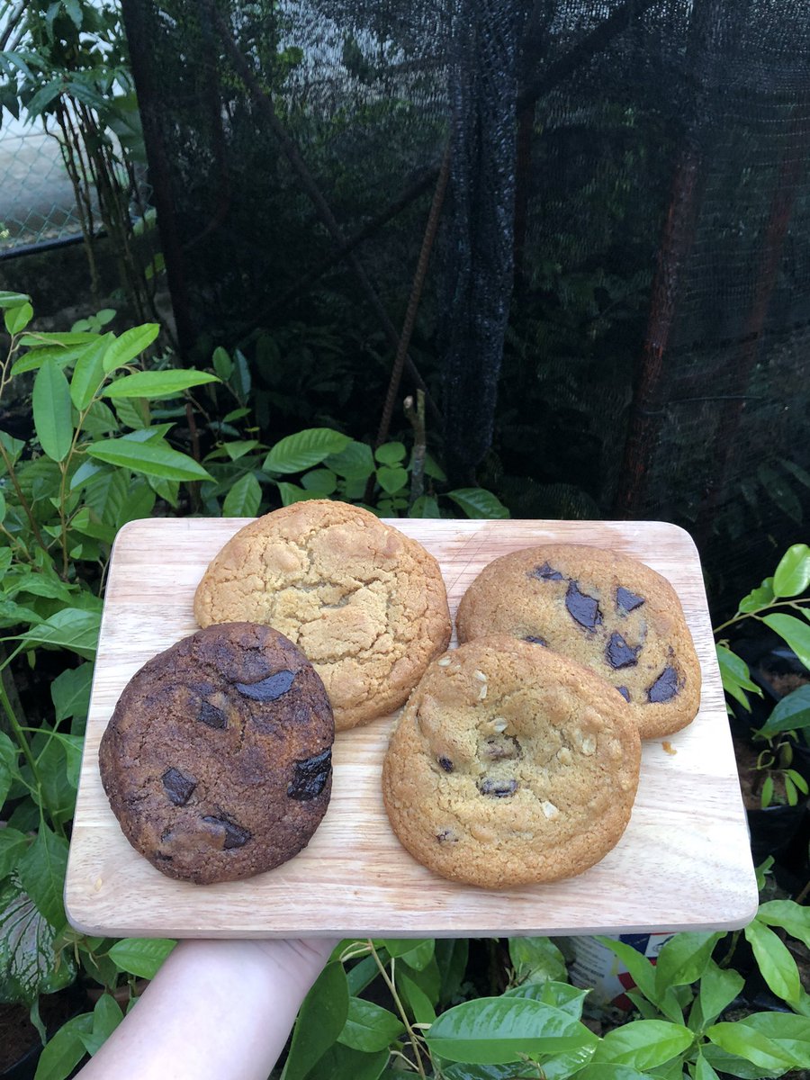 Jenneyyugi's tweet photo. The cookies… fresh from oven🍪🍪 https://t.co/iuWILRDLCA