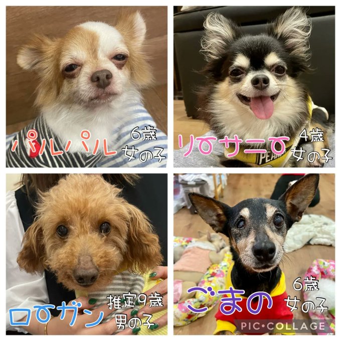 マスクのtwitterイラスト検索結果