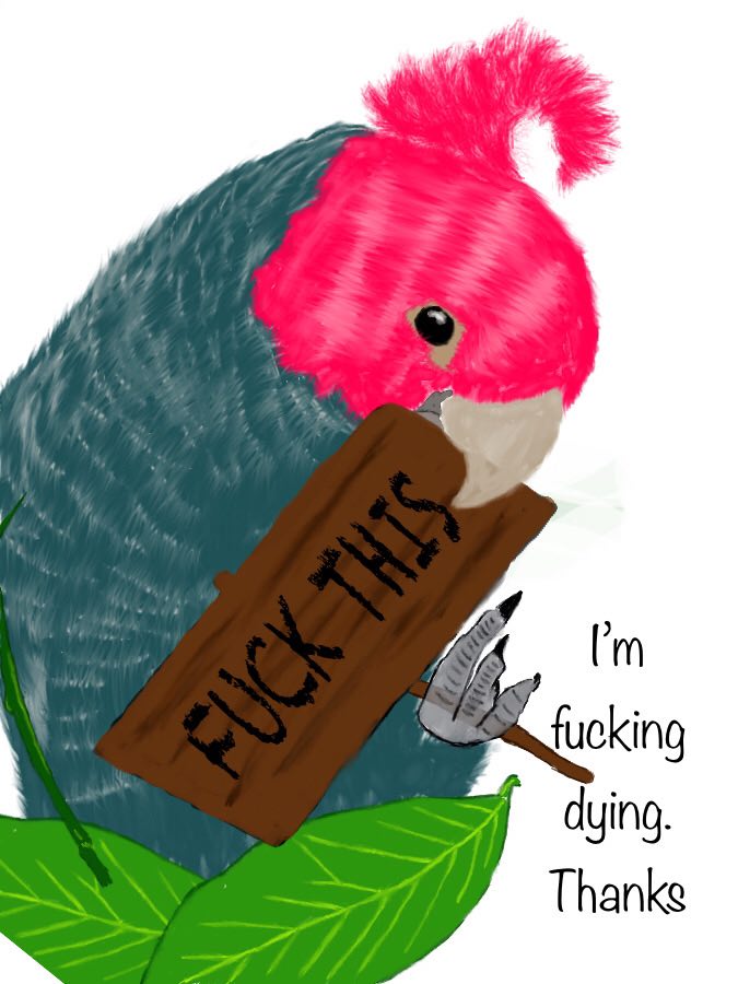 Kaira jackson tweet media