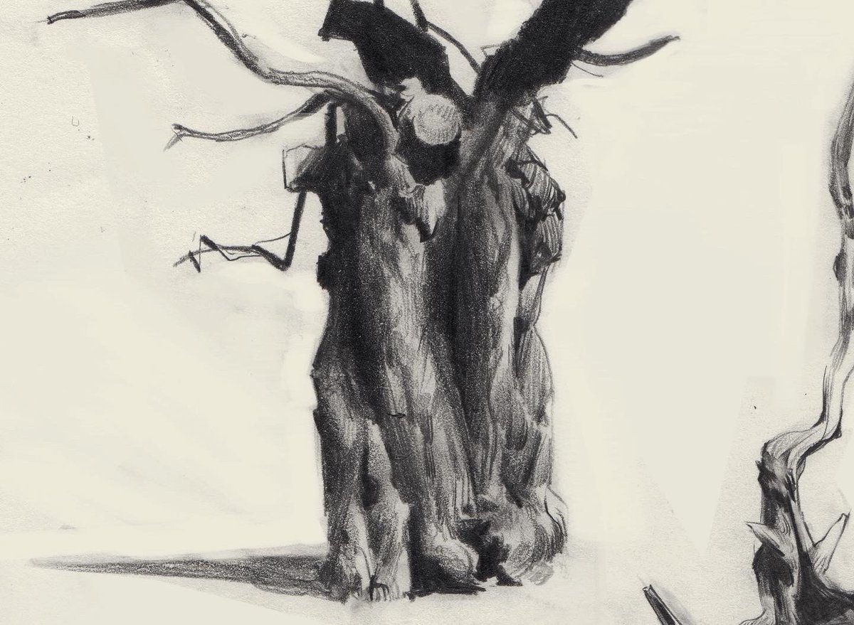 jesserintaylor1's tweet photo. Some tree sketches! I love trees, definitely doing more in the future https://t.co/7GkLvvLuq6