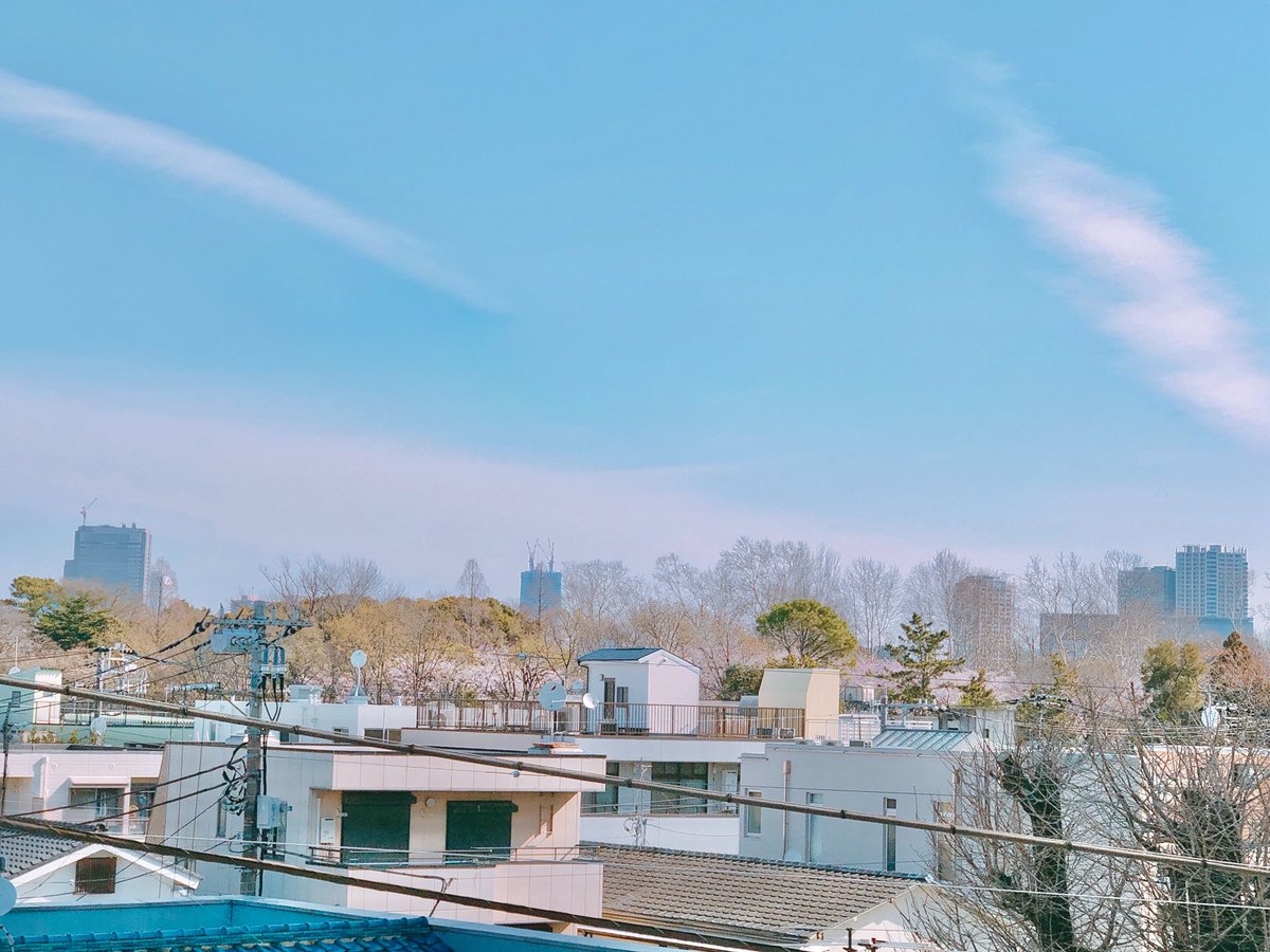 michinosaki_'s tweet photo. 見えるでしょうか…?
写真の下1/3あたりに桜の帯が🌸
ミチノサキ4階PARUTAのカガヤキテラスから林試の森を眺めたところです📸
(看板娘 玉手) #ミチノサキ #武蔵小山 #西小山 #目黒 #mSITEr #PARUTA #レンタルスペース #桜 #林試の森 https://t.co/sp6QJrXmkf