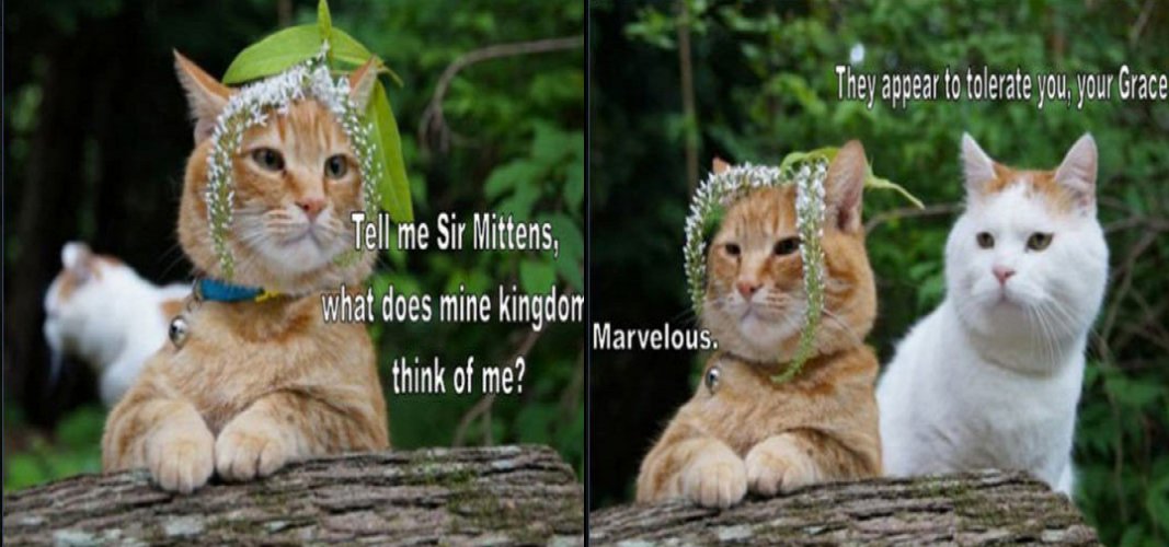 FO5ZvowXMAUmQux.jpg