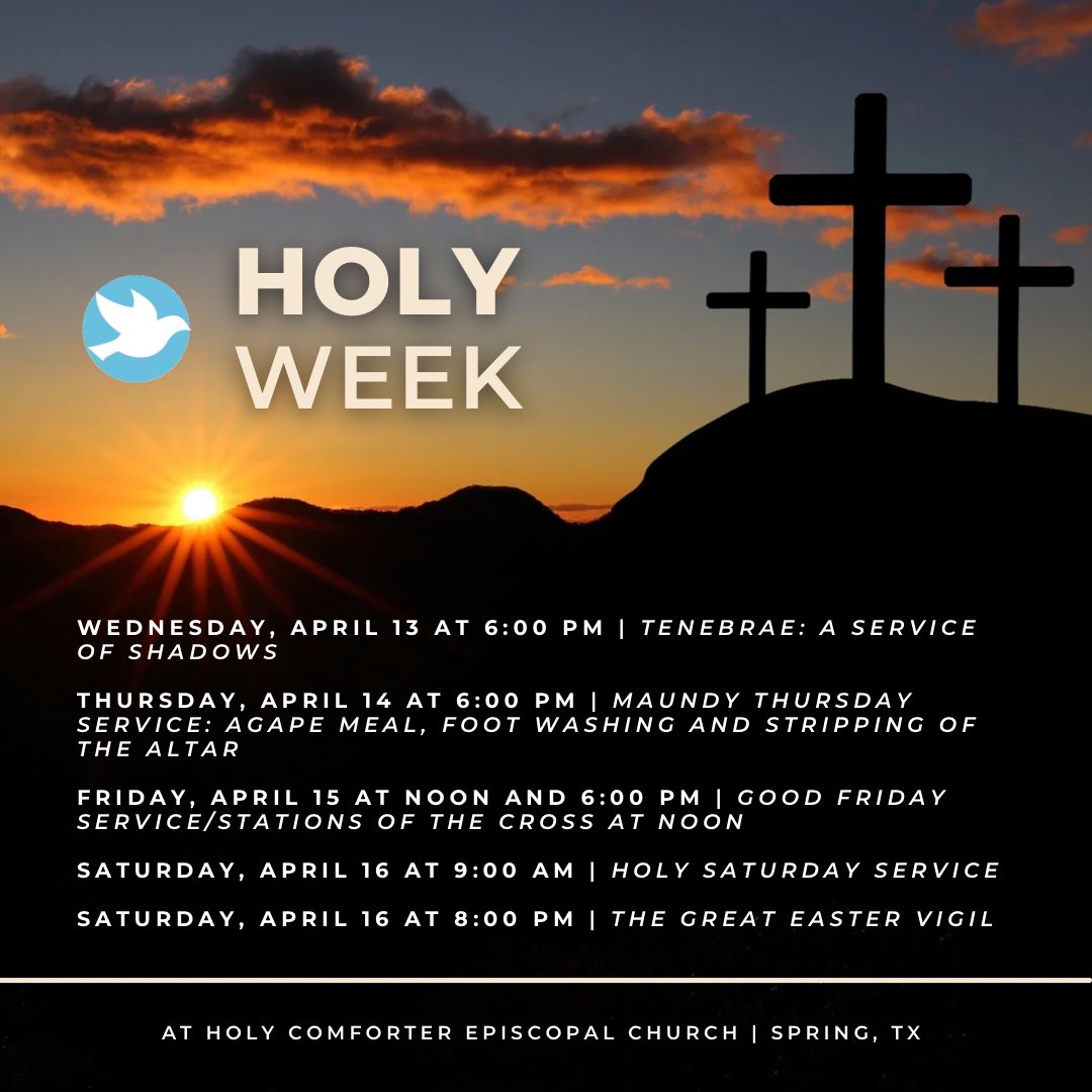 Holy Comforter tweet media