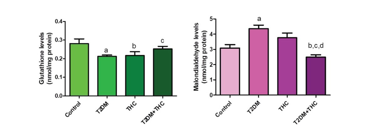 📢📢📢A paper published in European Journal of Biology “Oxidative Stress Status in Testis of Type-2 Diabetic Rats Treated with Delta-9-Tetrahydrocannabinol”

Read the paper: 

dergipark.org.tr/tr/pub/iufsjb/…

More: facebook.com/EurJBiol