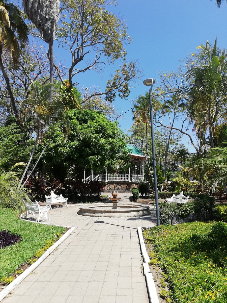 Ahemedina's tweet photo. La ciudad de #Colima es un lugar tranquilo y bonito que merece la pena visitar, tiene mucha vegetación, un calor sabroso y es una capital cercana a pueblos mágicos, la playa y volcanes 🌴⛰️ además de probar bebidas como la tuba, agua de coco y @cervezadecolima
#colimacapital https://t.co/yAKWU6V8lt
