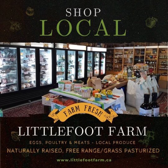 What goes better with a Locust Lane wine than a locally sourced homemade dinner? Here’s your reminder to shop local! 🥕🫑🥩🥬 

Littlefoot Farm in Beamsville has all you need from delicious cuts of meat to locally grown fruits and veggies. Check them out yourself!

#SupportLocal